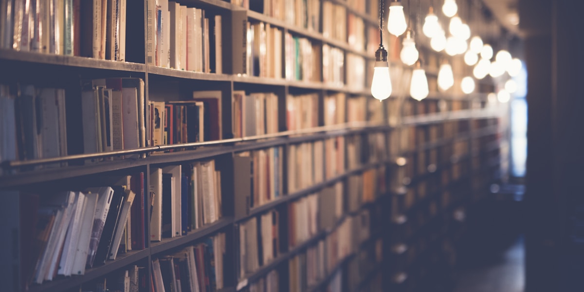 Creating a Reading Habit for Productivity: How to Read More and Get More Done